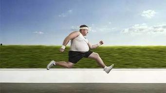 成人跑步方法视频教学,跟随视频教程轻松起步