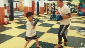 成人搏击健身课教学视频,高效塑形、提升体能的实战指南