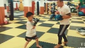 成人搏击团课教学视频,高效塑形与自我防卫技巧解析