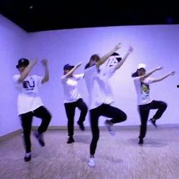 成人学舞蹈避雷视频大全,避雷指南，轻松开启舞蹈之旅