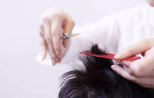 推剪成人理发教程视频,跟随理发教程视频学剪发