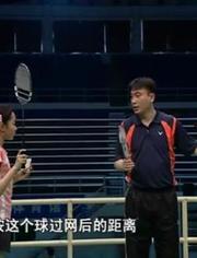 羽毛球成人教学合集视频,轻松入门，提升技巧，享受运动乐趣