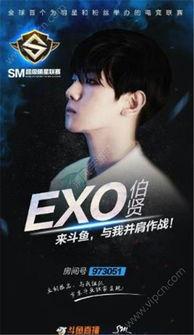 成人顶级视频在线,探索激情与欲望的虚拟世界