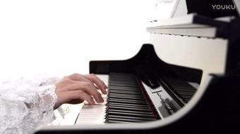 斑马成人钢琴教学视频,轻松开启音乐之旅